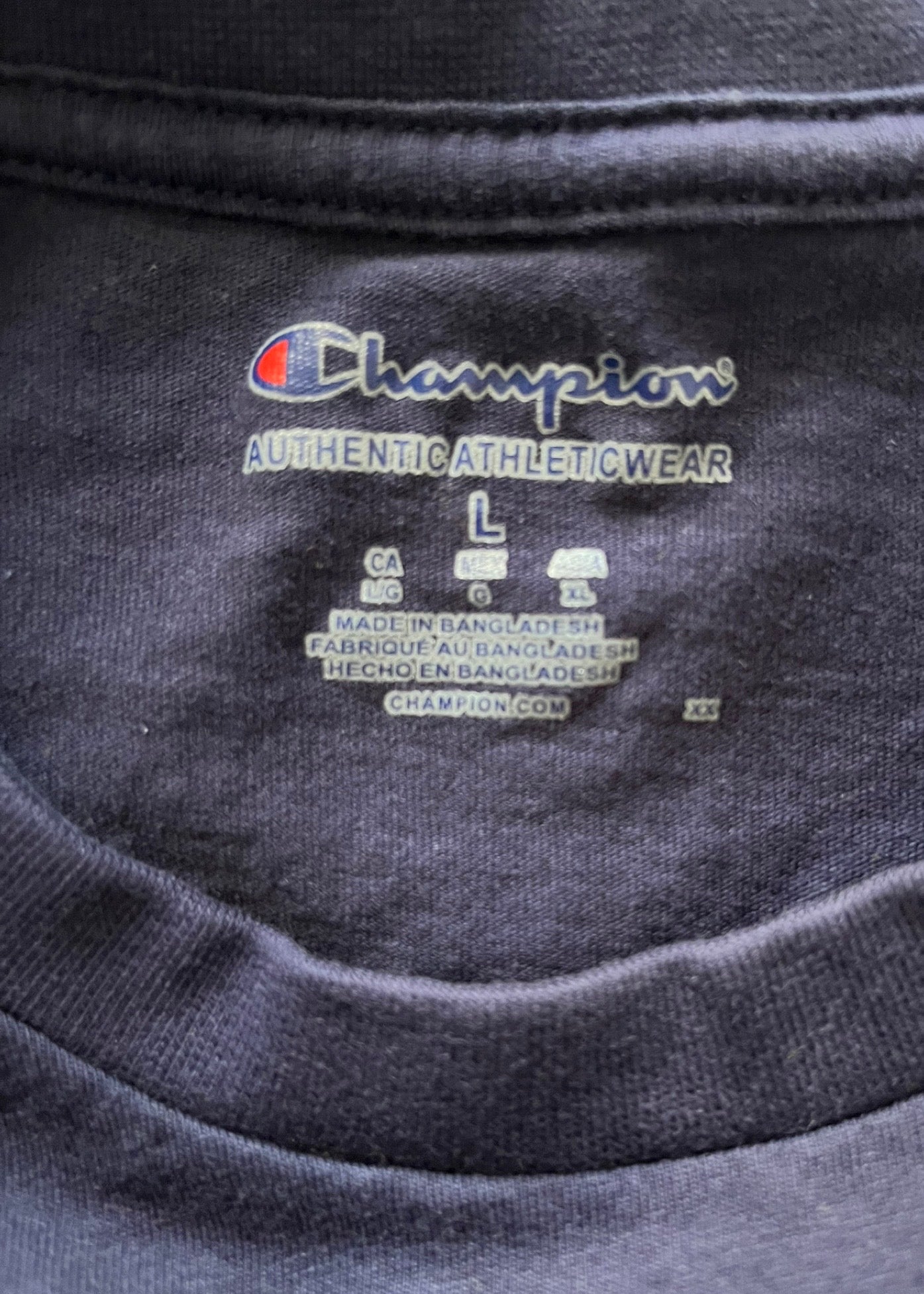 East Tennessee State University - Champion Tee (Large)