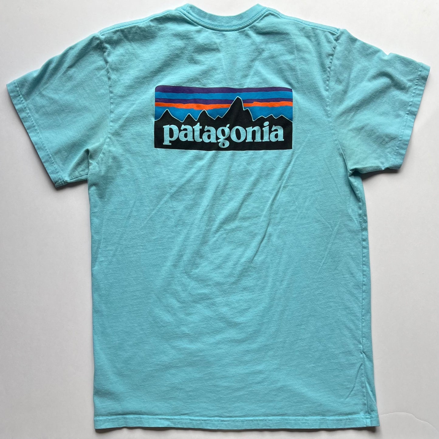 Patagonia Tee (Large)