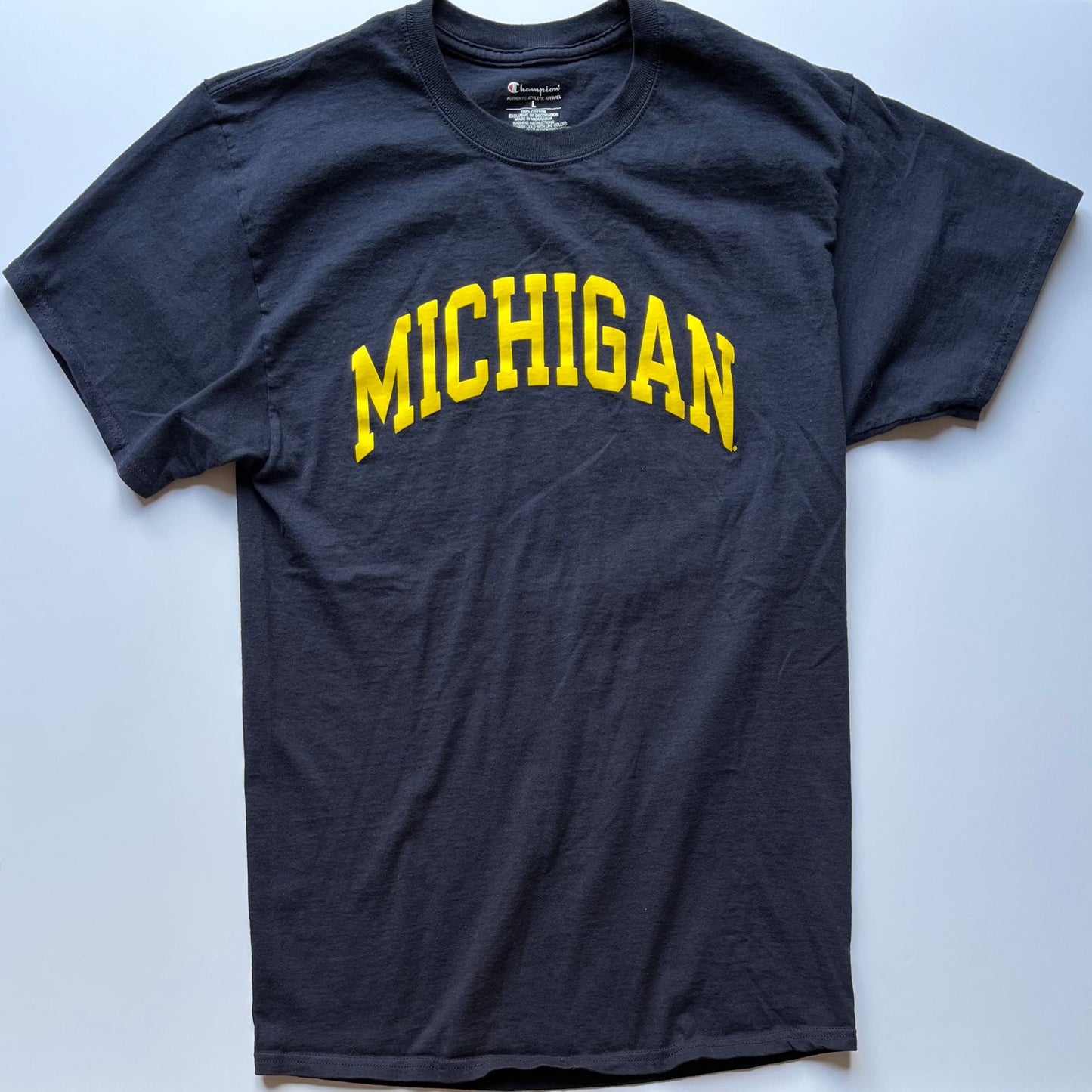 University of Michigan - Champion Tee (Large)