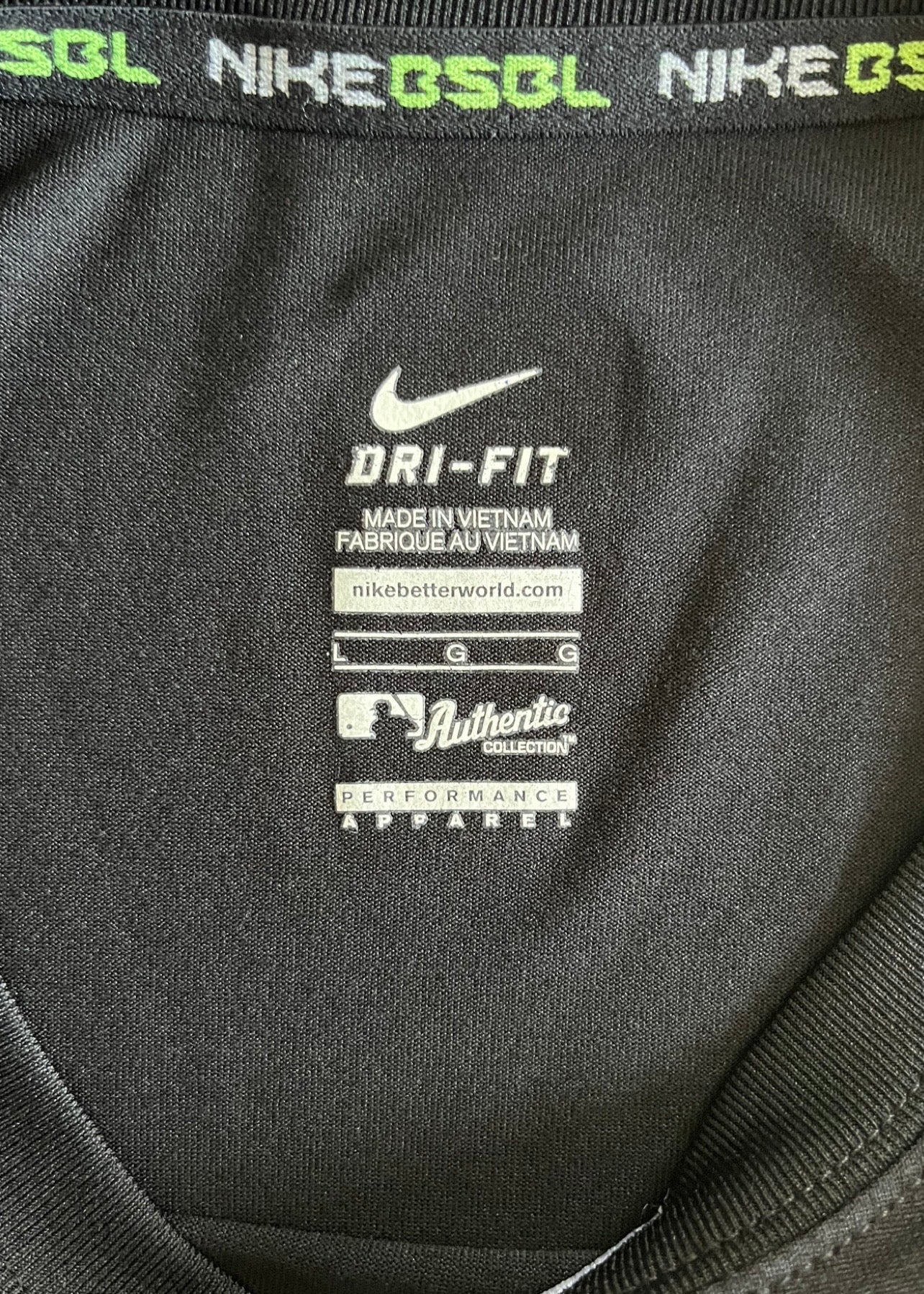 Pittsburgh Pirate - MLB - Nike Dri-Fit T-Shirt (Large)